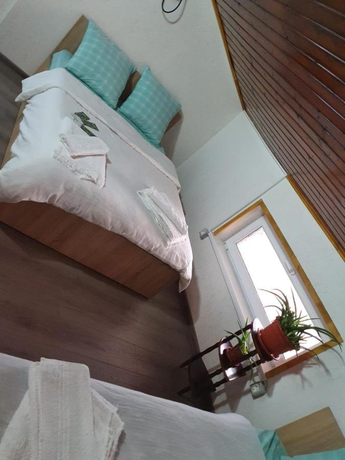 Hotel Casa Radu à Tulcea Extérieur photo