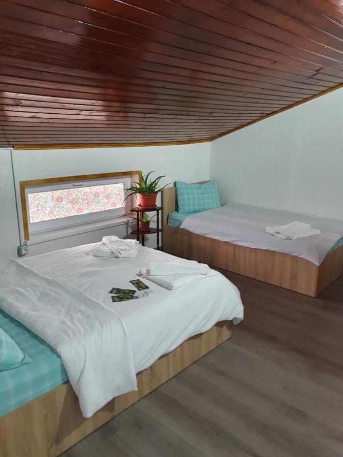 Hotel Casa Radu à Tulcea Extérieur photo